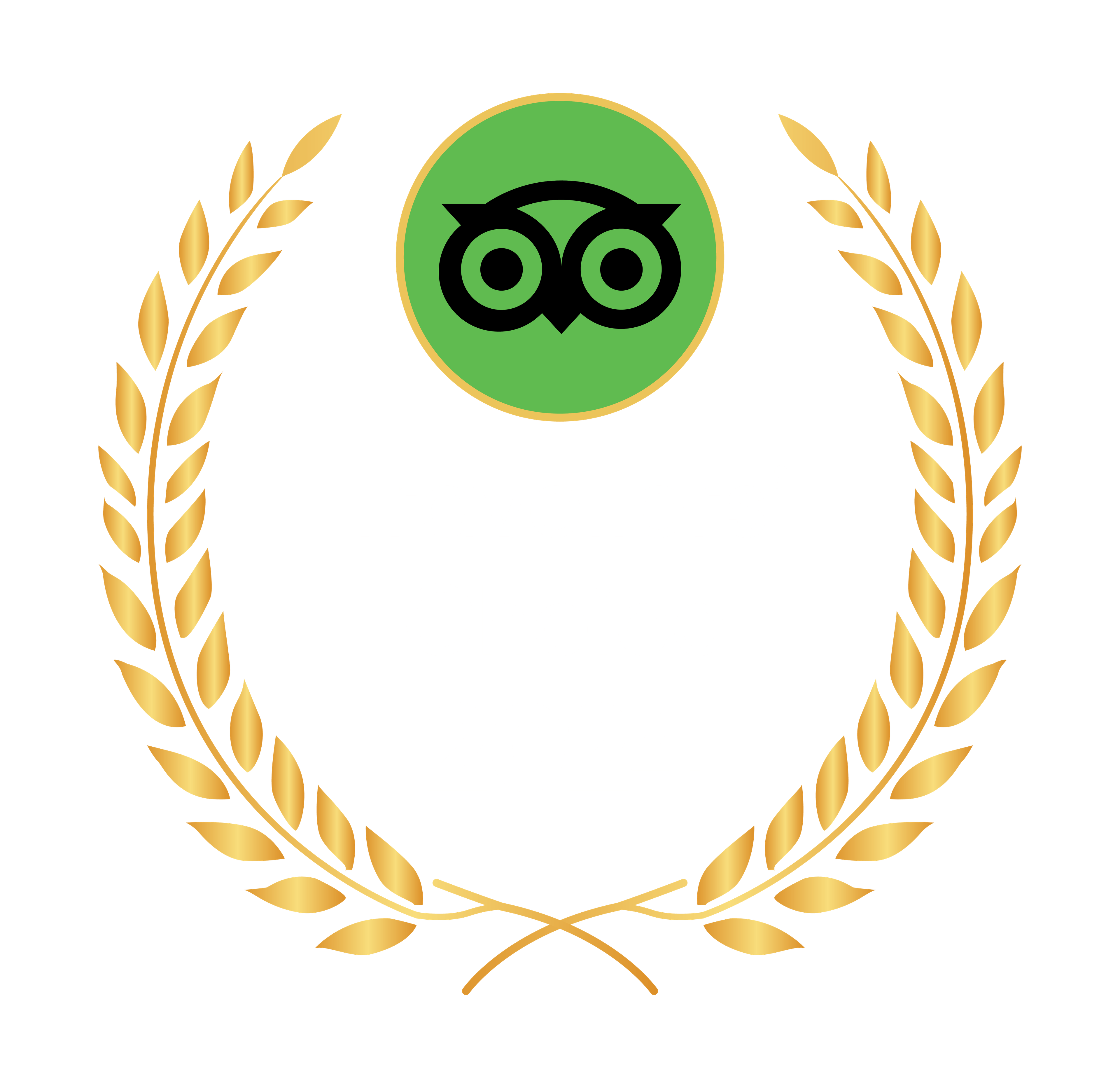 Tripadvisor Travellers' Choice 2024
